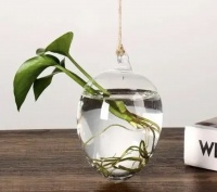 ���� ��������� ����