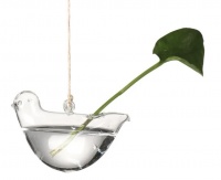 ���� ��������� ������