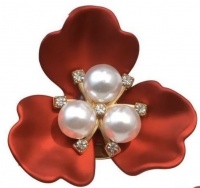 ����� - ����� �� �������� ������